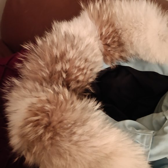 Canada Goose jacket - Picture 4 of 10